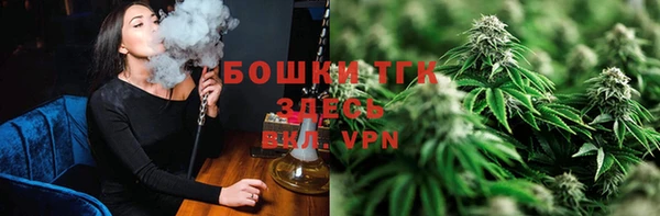 индика Алексин