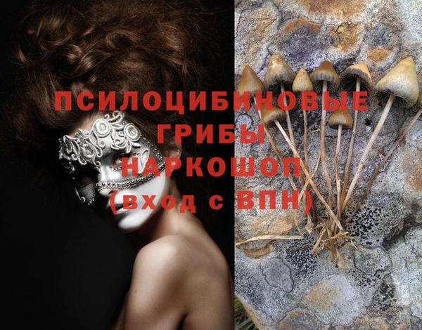 таблы Алзамай