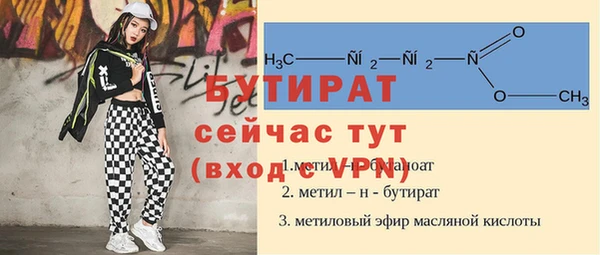 индика Алексин