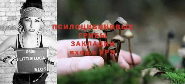 индика Алексин