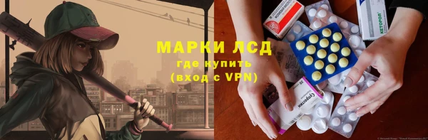 индика Алексин