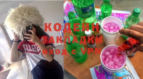индика Алексин