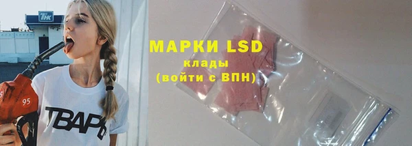 индика Алексин