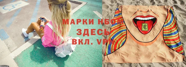индика Алексин