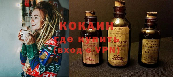 индика Алексин