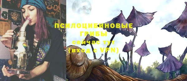 индика Алексин