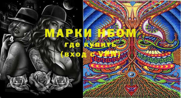 индика Алексин