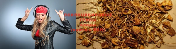 таблы Алзамай